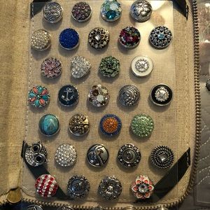 Magnolia and Vine Snaps & Jewelry